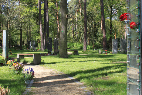 Dem Namen gerecht: Der Waldfriedhof in Mombach.