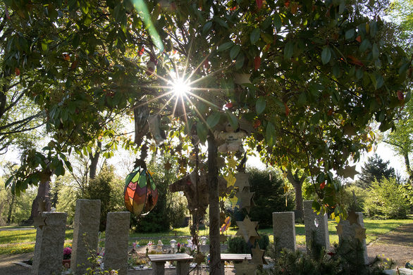 Der neue Sternengarten auf dem Mainzer Hauptfriedhof