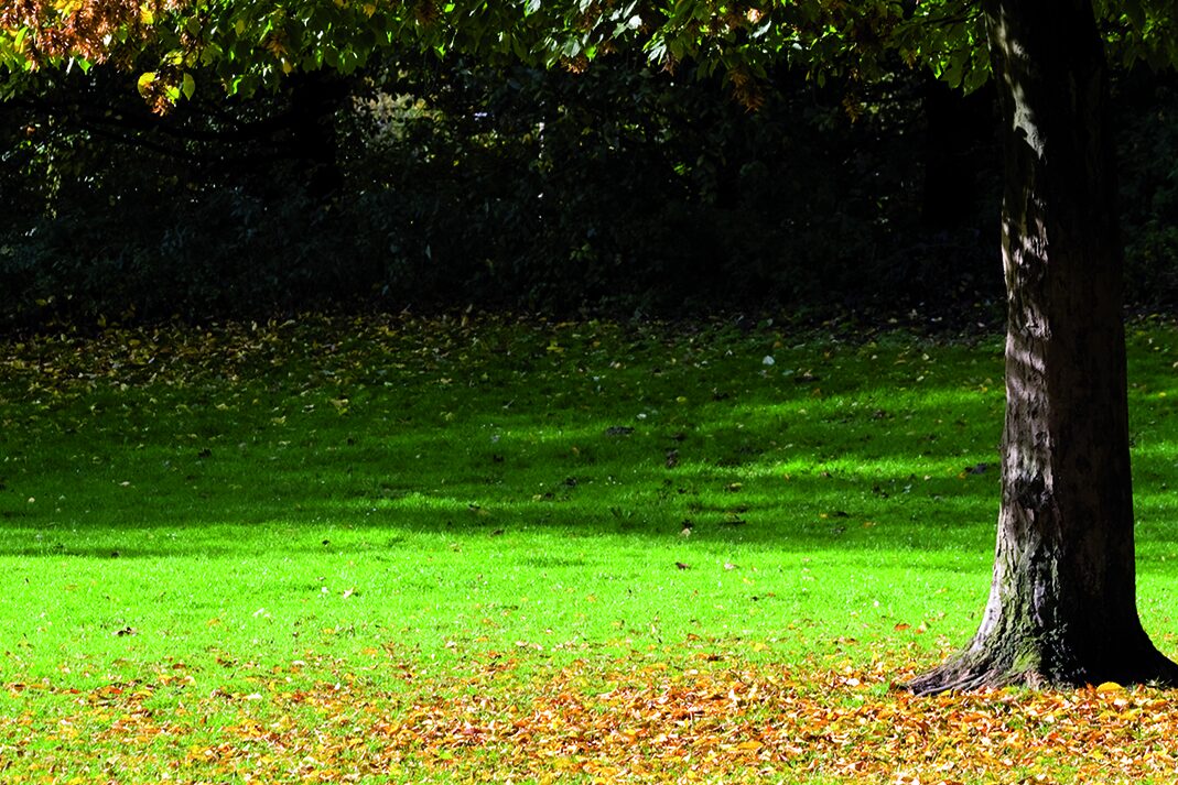 Ein Symbolbild einer anonymen Beisetung