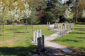 Baumgräber auf einem Mainzer Friedhof. © WB Mainz