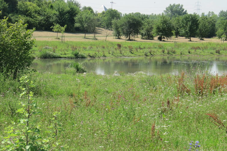 Blick auf das Wildgrabental
