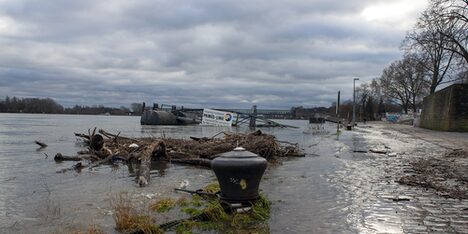 Das Rheinufer, nachdem das Hochwasser zurückgegangen ist.