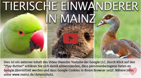 Die Landeshauptstadt Mainz nutzt den Video-Dienst Youtube. Vor einem Klick auf den Play-Button empfängt Youtube keine Daten und setzt keine Cookies. Nähere Informationen über Youtube finden Sie in den Datenschutzinformationen zu unserem Youtube-Kanal: www.mainz.de/datenschutz