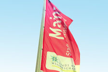 Eine rote Fahne mit der Aufschrift "Mainz - Stadt der Wissenschaft 2011"