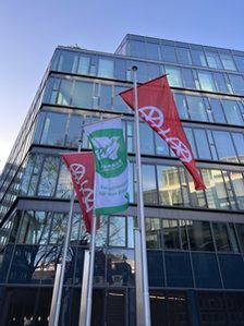 Solidarität mit Ukraine: Flagge des Netzwerks „Mayors for Peace“ gehisst