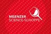 Erstes Bild des RSS-Feed-Eintrags