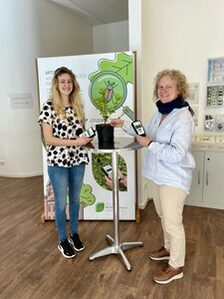 „Main(z)Baum - Dein Lebensraum“-Ausstellung im Mainzer Umweltladen eröffnet