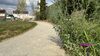 Erstes Bild des RSS-Feed-Eintrags