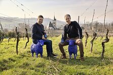 Bildmotiv2 GWC Weingut K.&K Dautermann Ingelheim