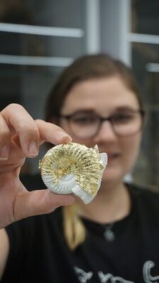 EINE DOSIS NATUR - Exit Einsamkeit im nhm