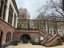 Terasse und Freitreppe Neustadt Zentrum