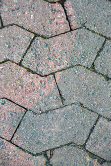 Bodenreinigung - Vergleichsbild