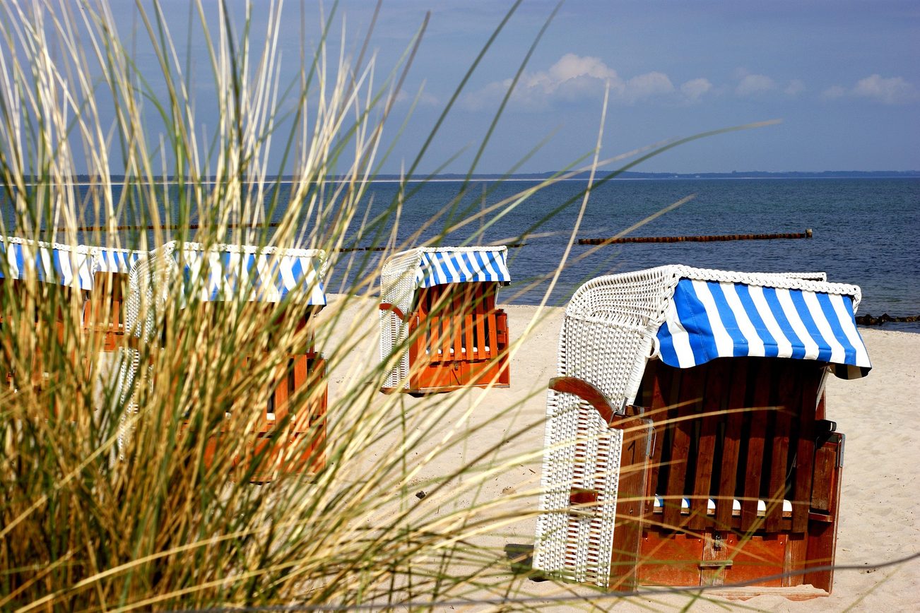 Thema des Monats - Lektüre für den Strandkorb