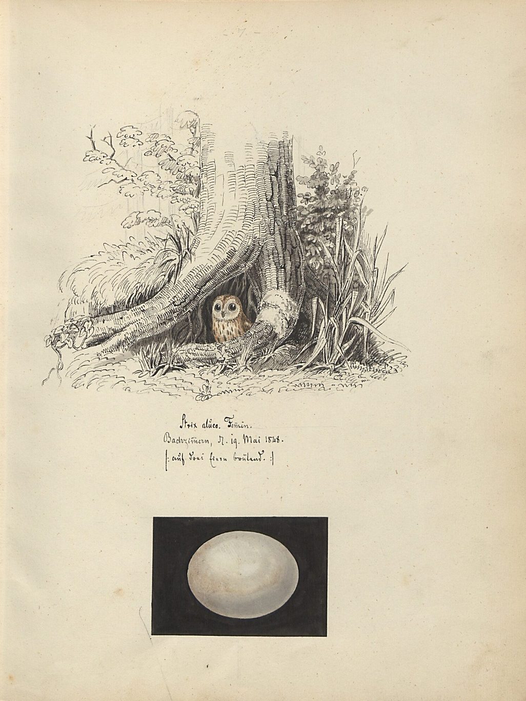 Image: Moyat Cabinet Exhibition