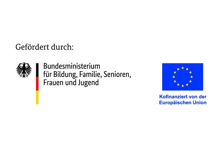Logo Bundesministeriums für Bildung, Familie, Senioren, Frauen und Jugend