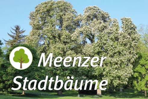 Titelbild mit Bäumen im Stadtpark
