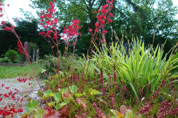 Naturnahe Grabstätte