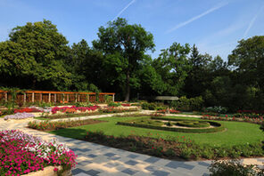 Rosengarten im Stadtpark © Landeshauptstadt Mainz