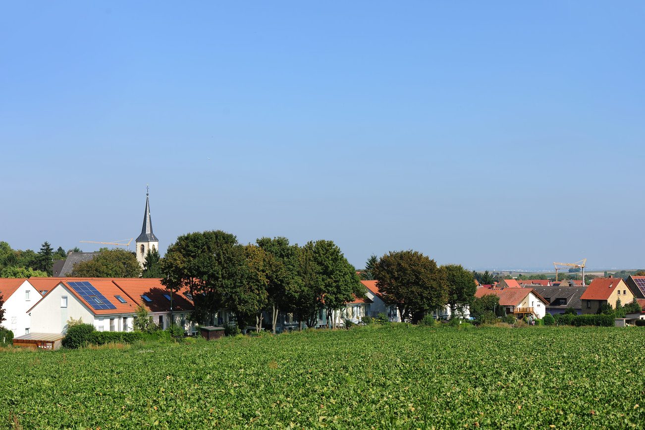 Blick auf Ebersheim von einem anliegenden Feld aus
