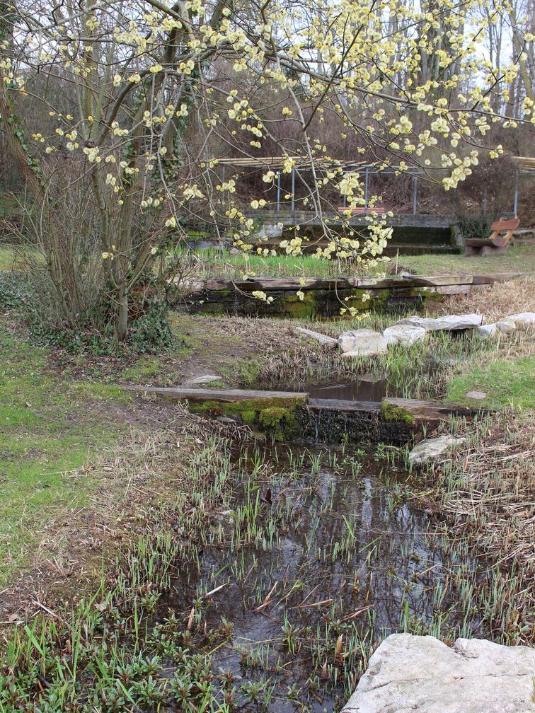 Königsborn in Mainz-Finthen