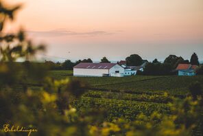 Das Weingut der Familie Erbeldinger © Familie Erbeldinger