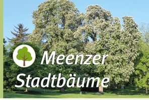 Titelbild: Bäume im Stadtpark © Landeshauptstadt Mainz