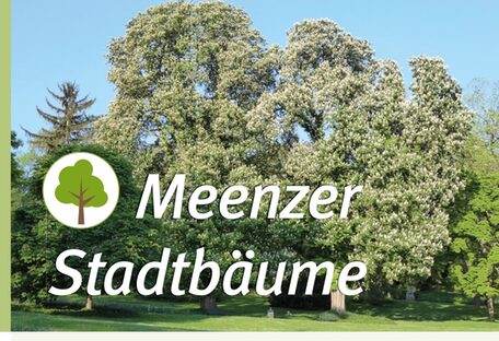 Titelbild mit Bäumen im Stadtpark