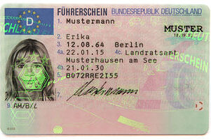 Sample driver's license